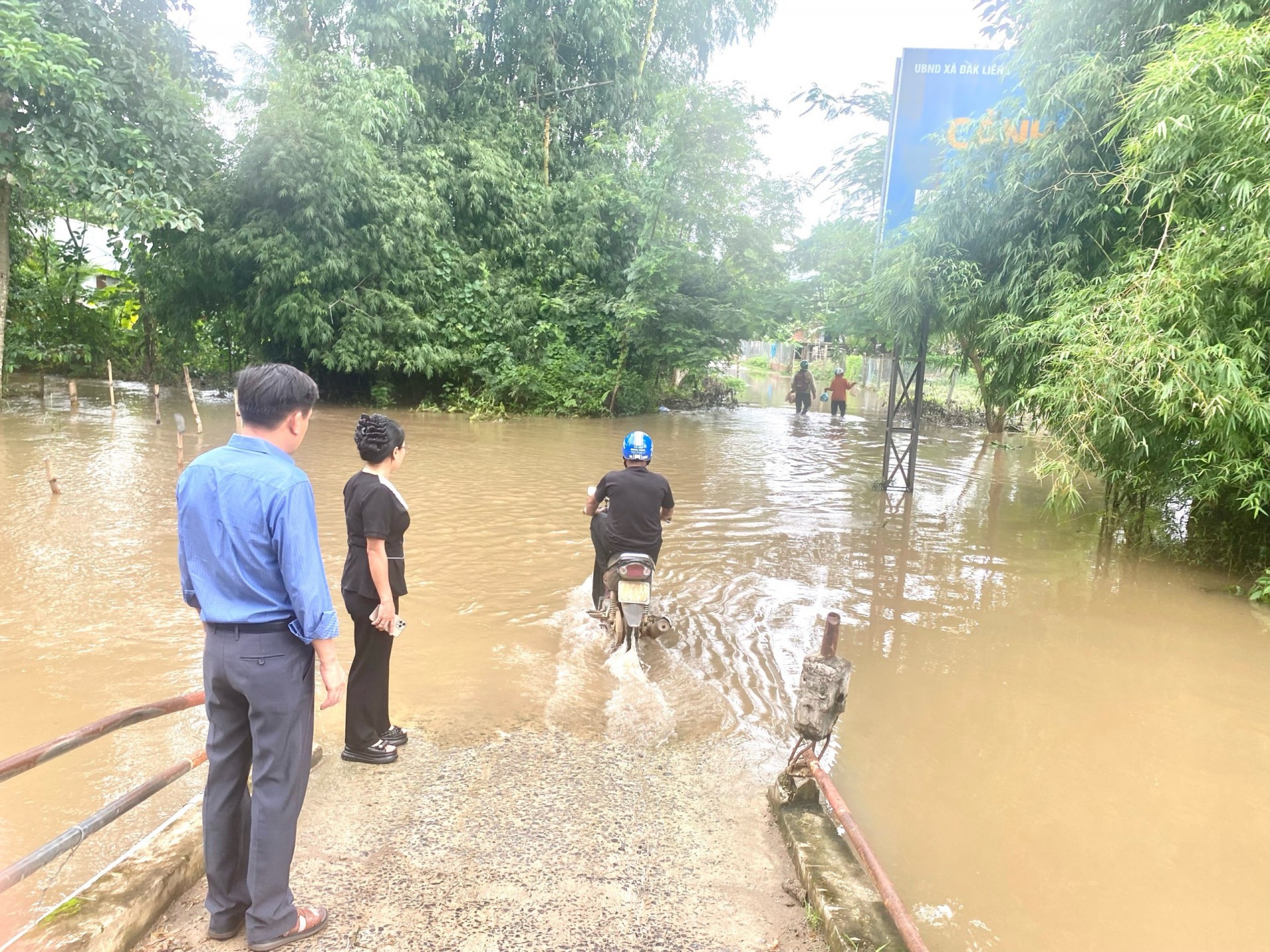 Huyện Lắk, Đắk Lắk: Mưa lớn liên tục gây ngập lụt  thiệt hại hơn 1.200 ha cây trồng