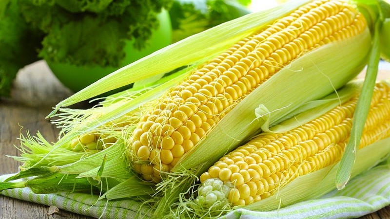 Râu ngô - vị thuốc dễ tìm có nhiều công dụng