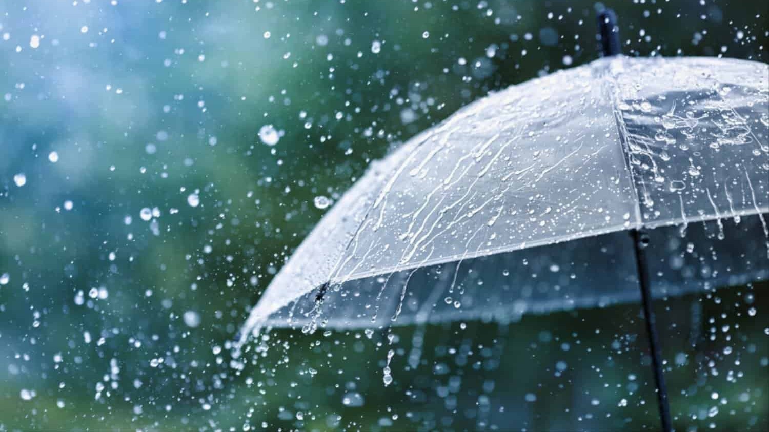 Dự báo thời tiết ngày 29/7/2024: Bắc Bộ mưa dông ngày đầu tuần