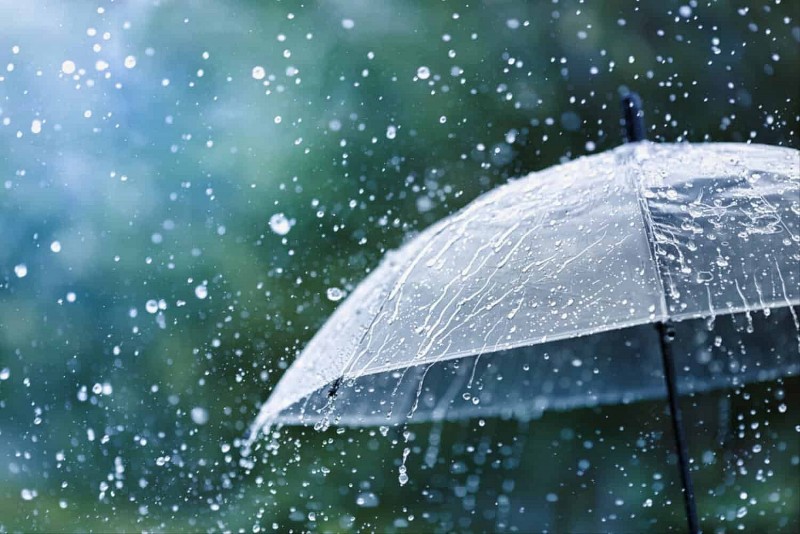 Dự báo thời tiết ngày 29/7/2024: Hà Nội mưa to và dông ngày đầu tuần