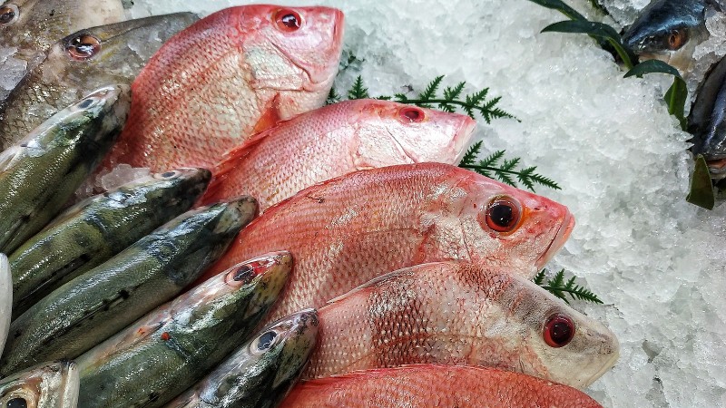Khuyến cáo phòng, chống ngộ độc thực phẩm do Histamine trong cá