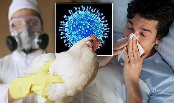 WHO hỗ trợ phát triển vaccine phòng bệnh cúm gia cầm ở người