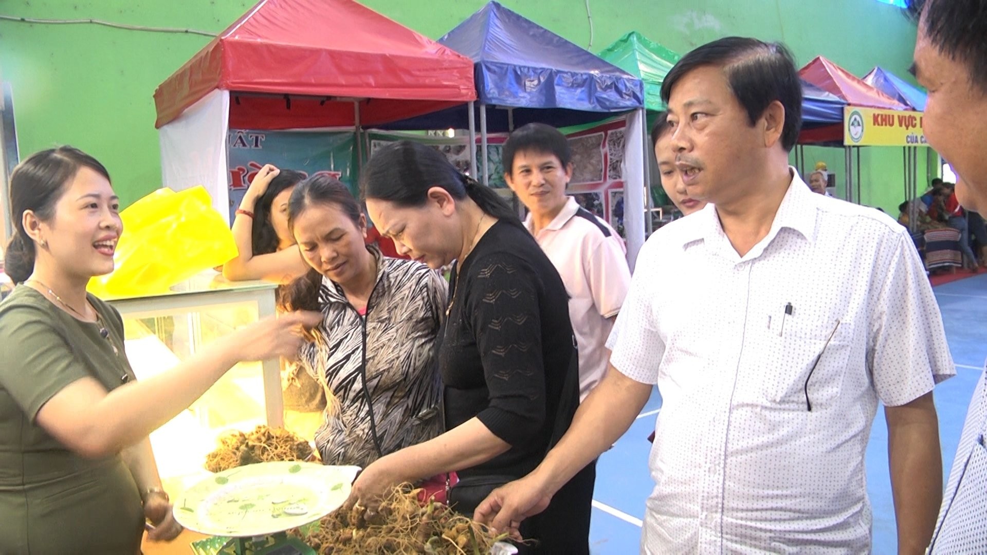 Quảng Nam: Sẵn sàng cho Lễ hội Sâm Ngọc Linh Quảng Nam: Sẵn sàng cho Lễ hội Sâm Ngọc Linh