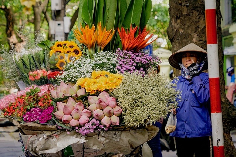 Dự báo thời tiết ngày 4/8/2024: Hà Nội ngày nắng, chiều tối mưa rào