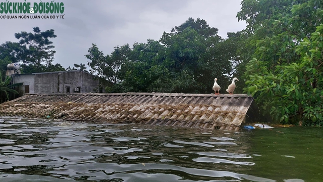 Người dân tại 