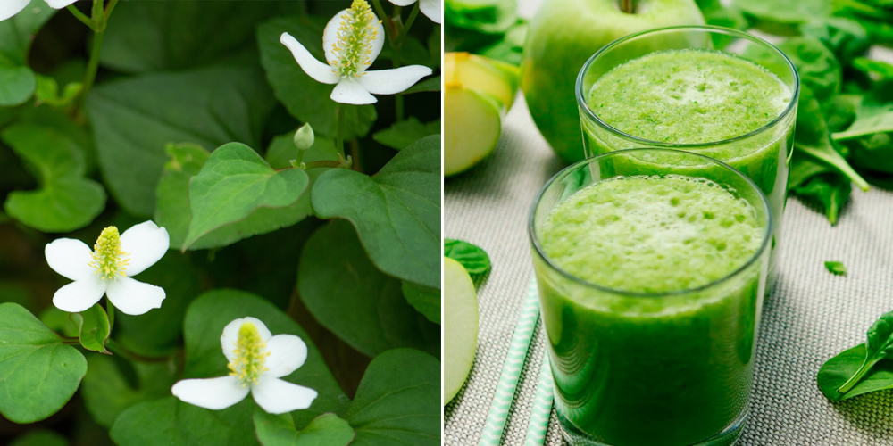 Điểm danh những thức uống giúp "quét sạch" mỡ máu Điểm danh những thức uống giúp "quét sạch" mỡ máu