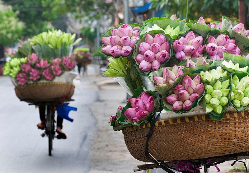 Dự báo thời tiết ngày 10/8/2024: Hà Nội nắng nóng gay gắt ngày cuối tuần