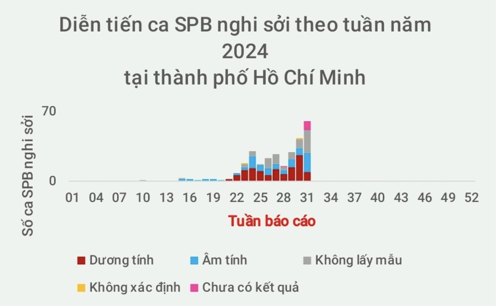 TP HCM: Số ca mắc tăng nhanh, Sở Y tế kiến nghị công bố dịch sởi