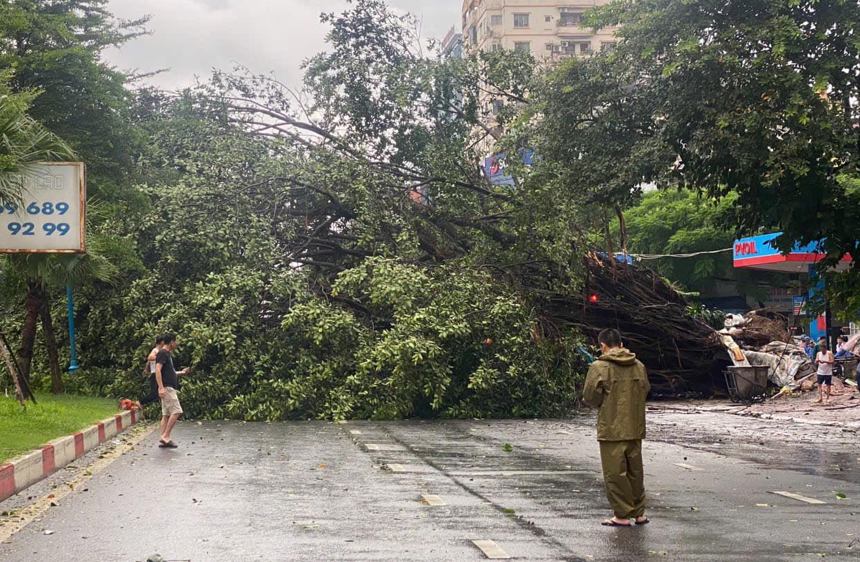 [Chùm ảnh] Hà Nội tan hoang sau bão Yagi