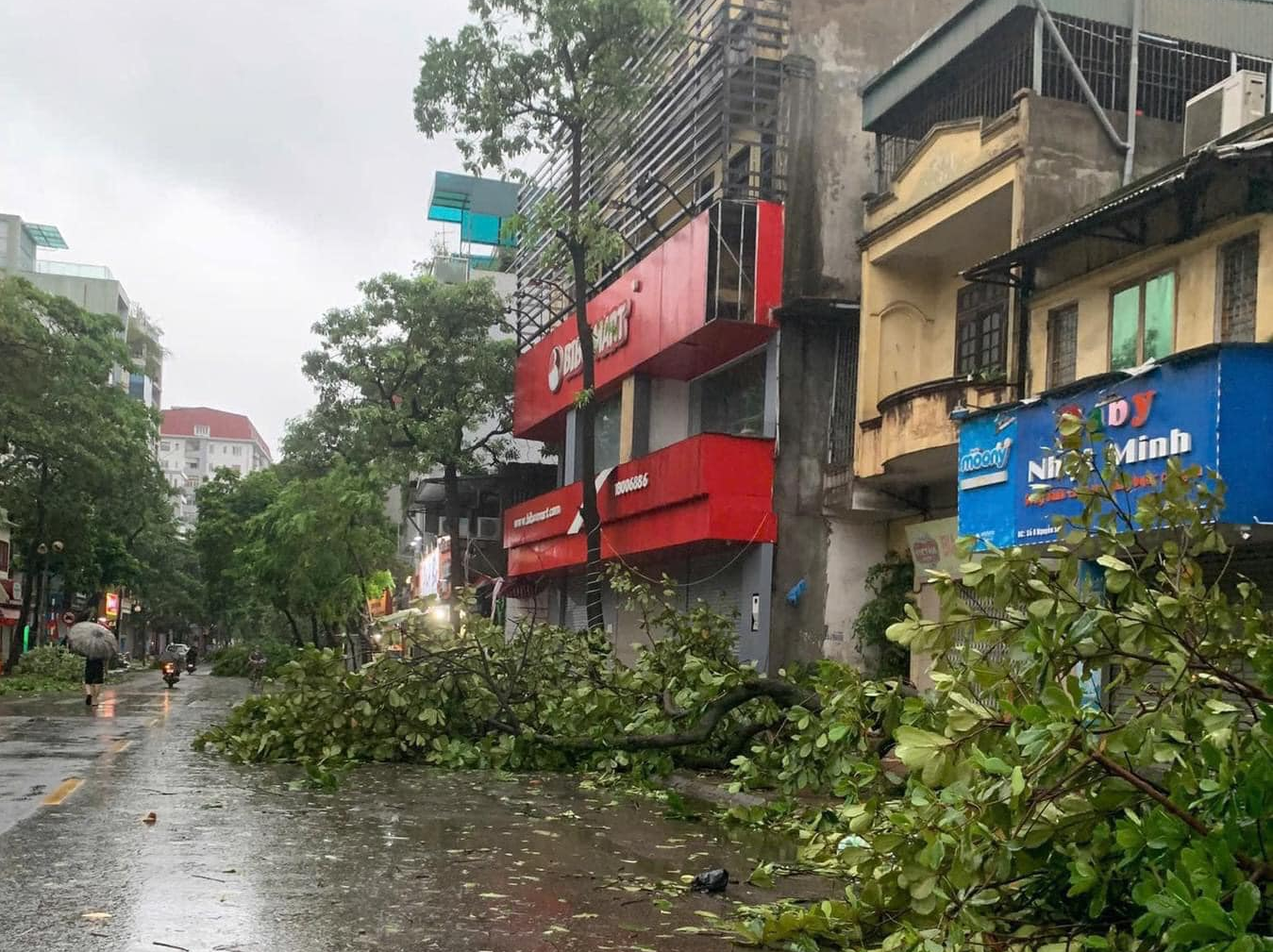 [Chùm ảnh] Hà Nội tan hoang sau bão Yagi