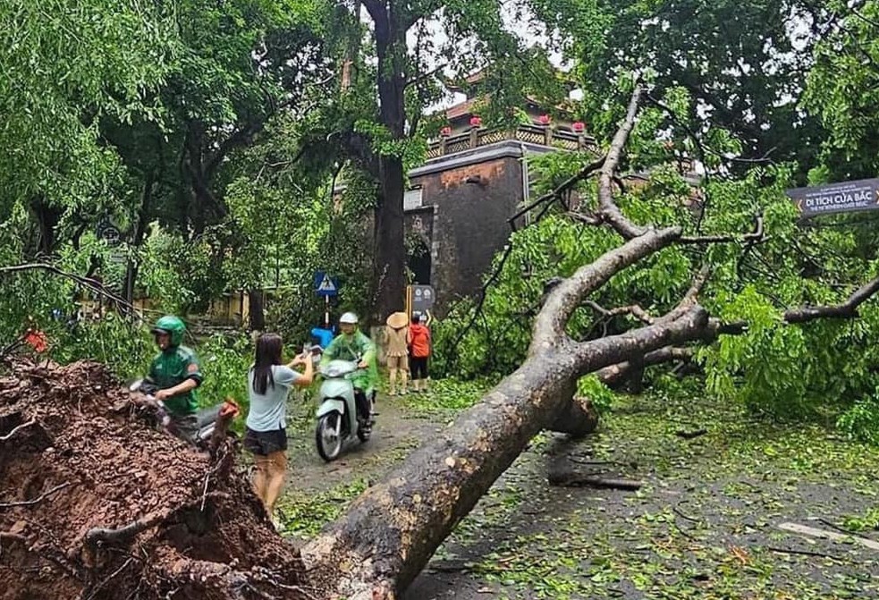 [Chùm ảnh] Hà Nội tan hoang sau bão Yagi