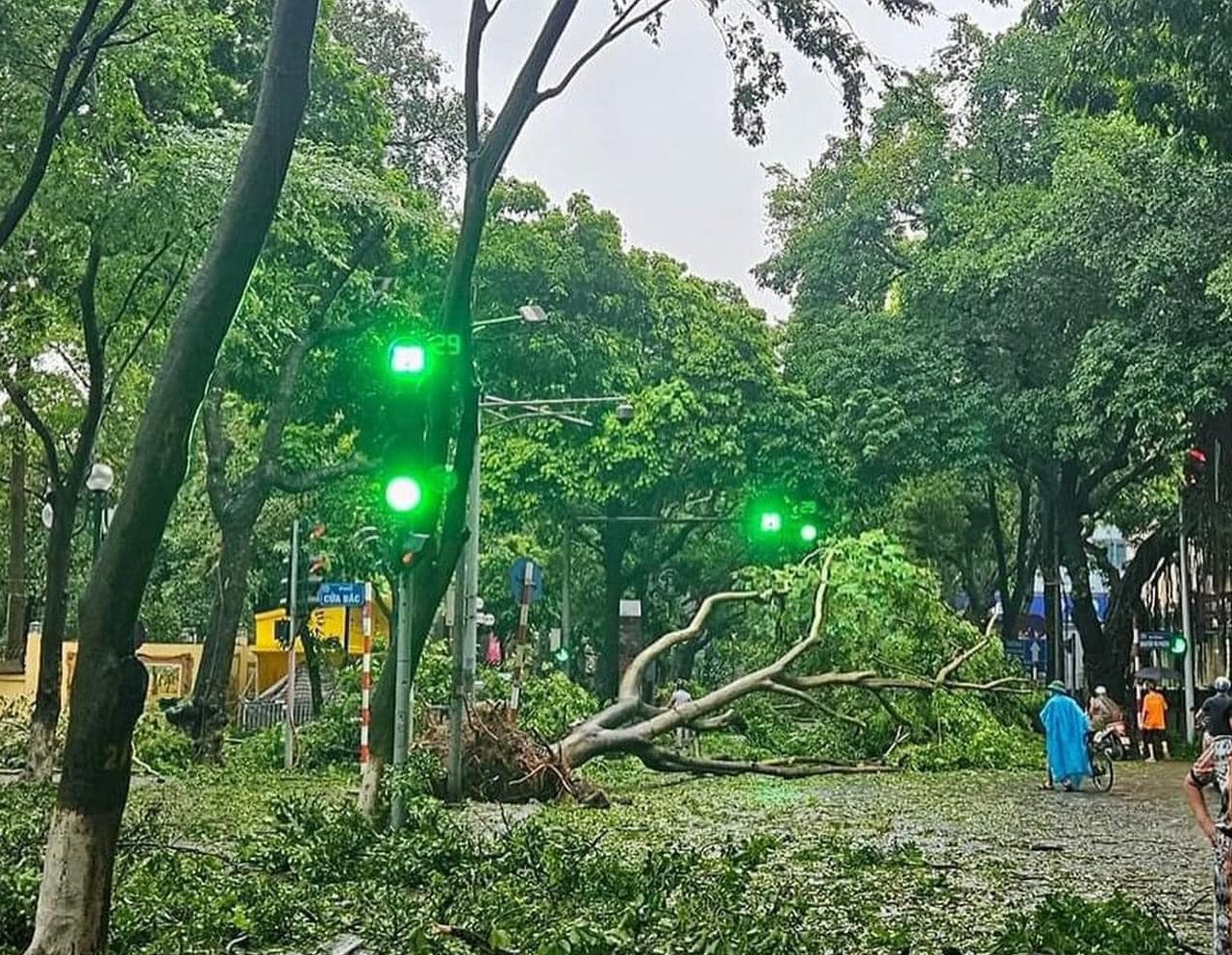 [Chùm ảnh] Hà Nội tan hoang sau bão Yagi