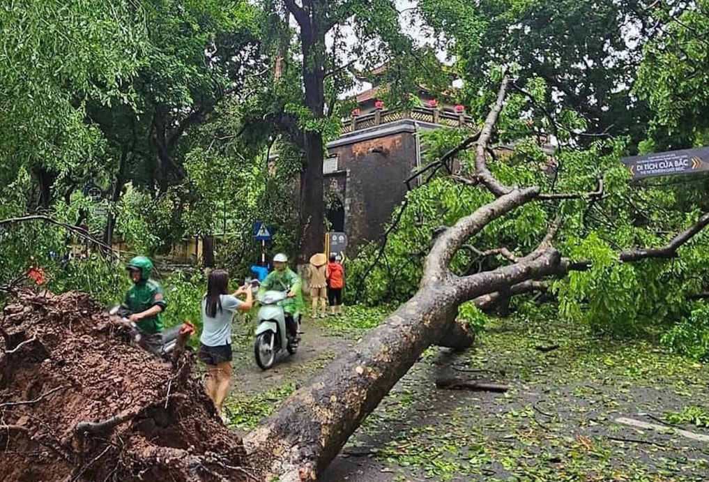 [Chùm ảnh] Hà Nội tan hoang sau bão Yagi