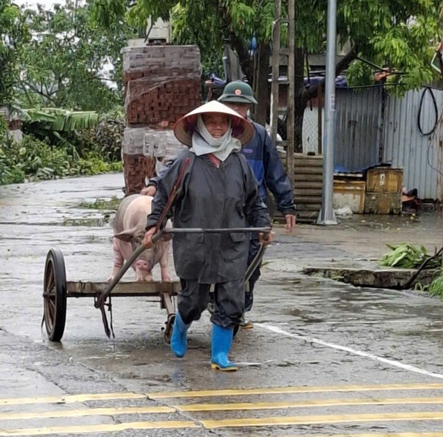 Báo động lũ trên sông lớn, các quận huyện tổng lực ứng phó khắc phục thiên tai