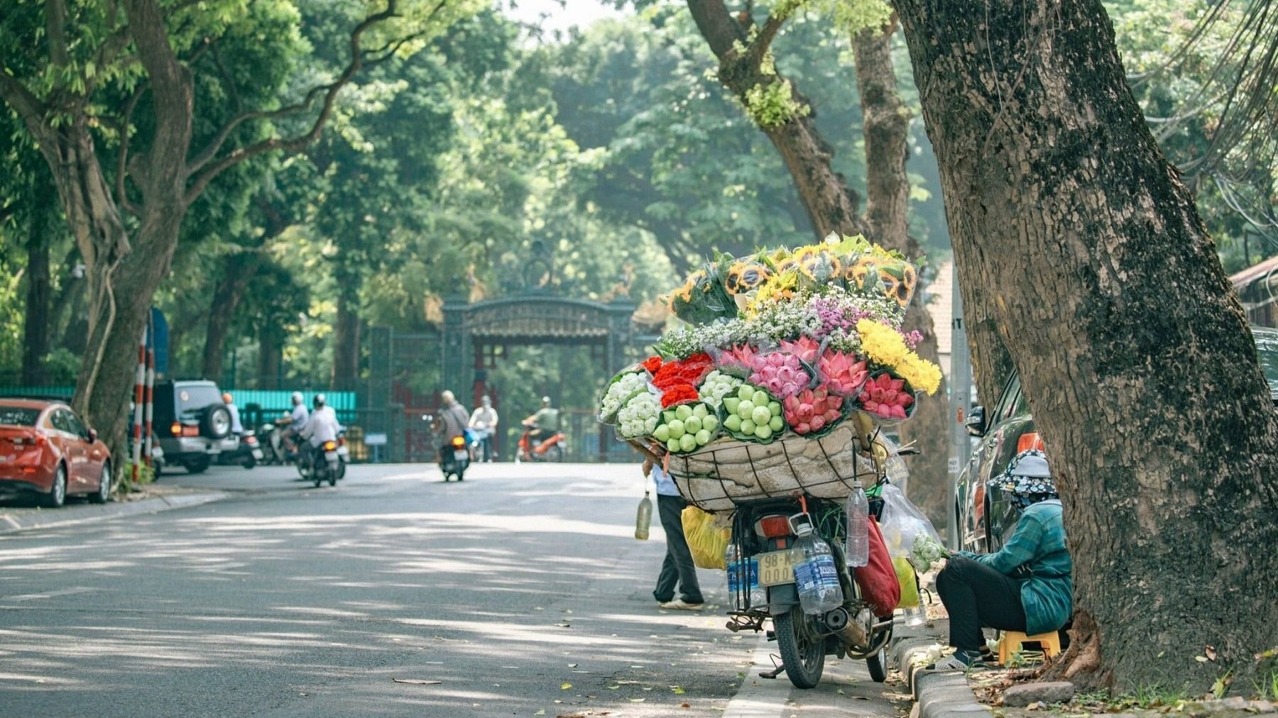 Dự báo thời tiết ngày 15/9/2024: Bắc Bộ ngày nắng, chiều tối mưa dông