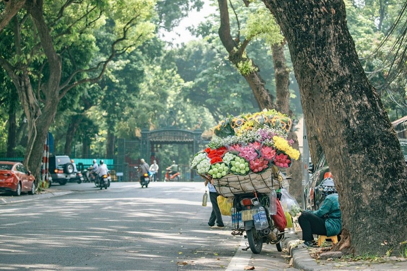 Dự báo thời tiết ngày 15/9: Hà Nội và nhiều khu vực khác có mưa dông