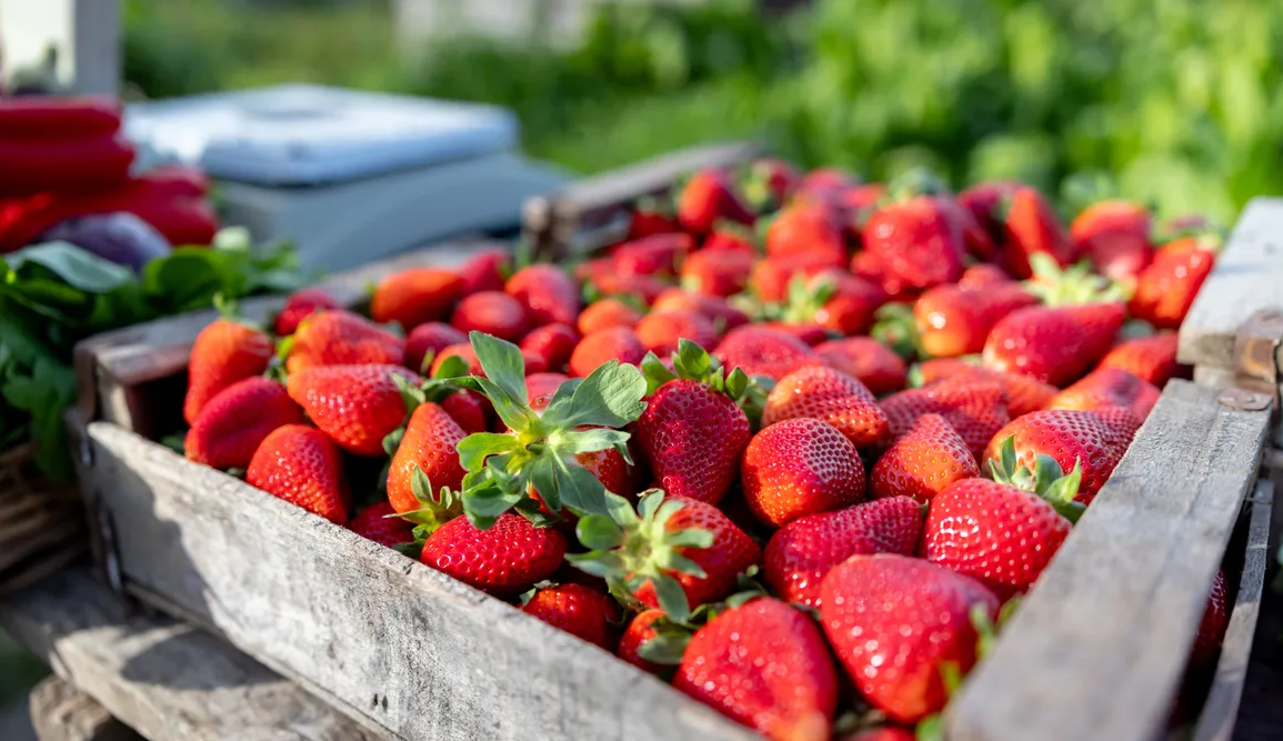 Mẹo chọn trái cây tươi để làm nước ép tại nhà Mẹo chọn trái cây tươi để làm nước ép tại nhà
