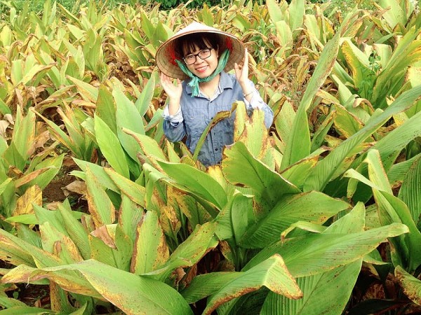 Đắk Lắk: Phấn đấu hình thành 1 chuỗi liên kết nghiên cứu, nuôi trồng, sản xuất, tiêu thụ sản phẩm dược liệu