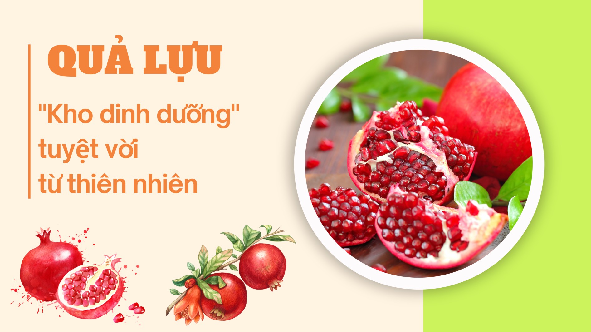 [E-Magazine] Quả lựu - "Kho dinh dưỡng" tuyệt vời từ thiên nhiên