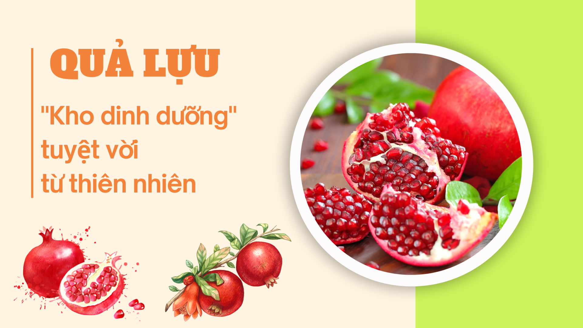 [E-Magazine] Quả lựu - "Kho dinh dưỡng" tuyệt vời từ thiên nhiên