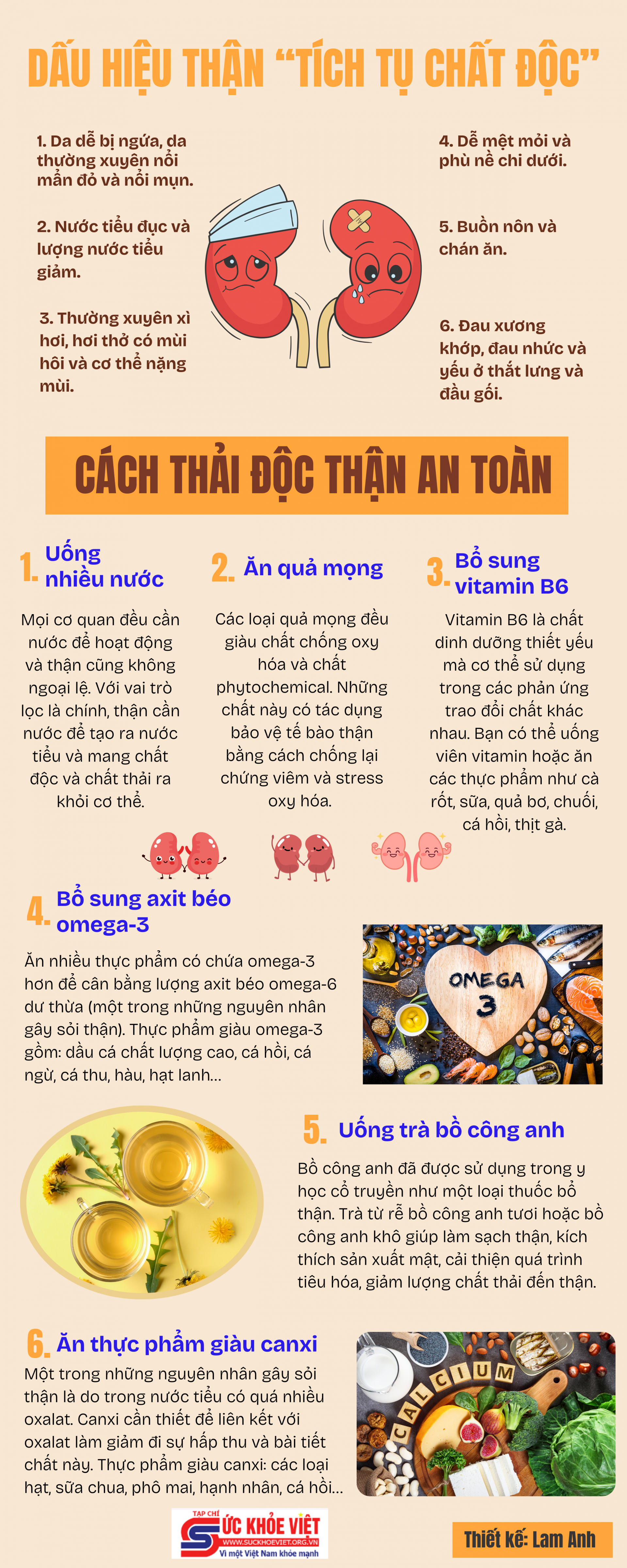 Dấu hiệu thận "tích tụ chất độc" và cách thải độc an toàn