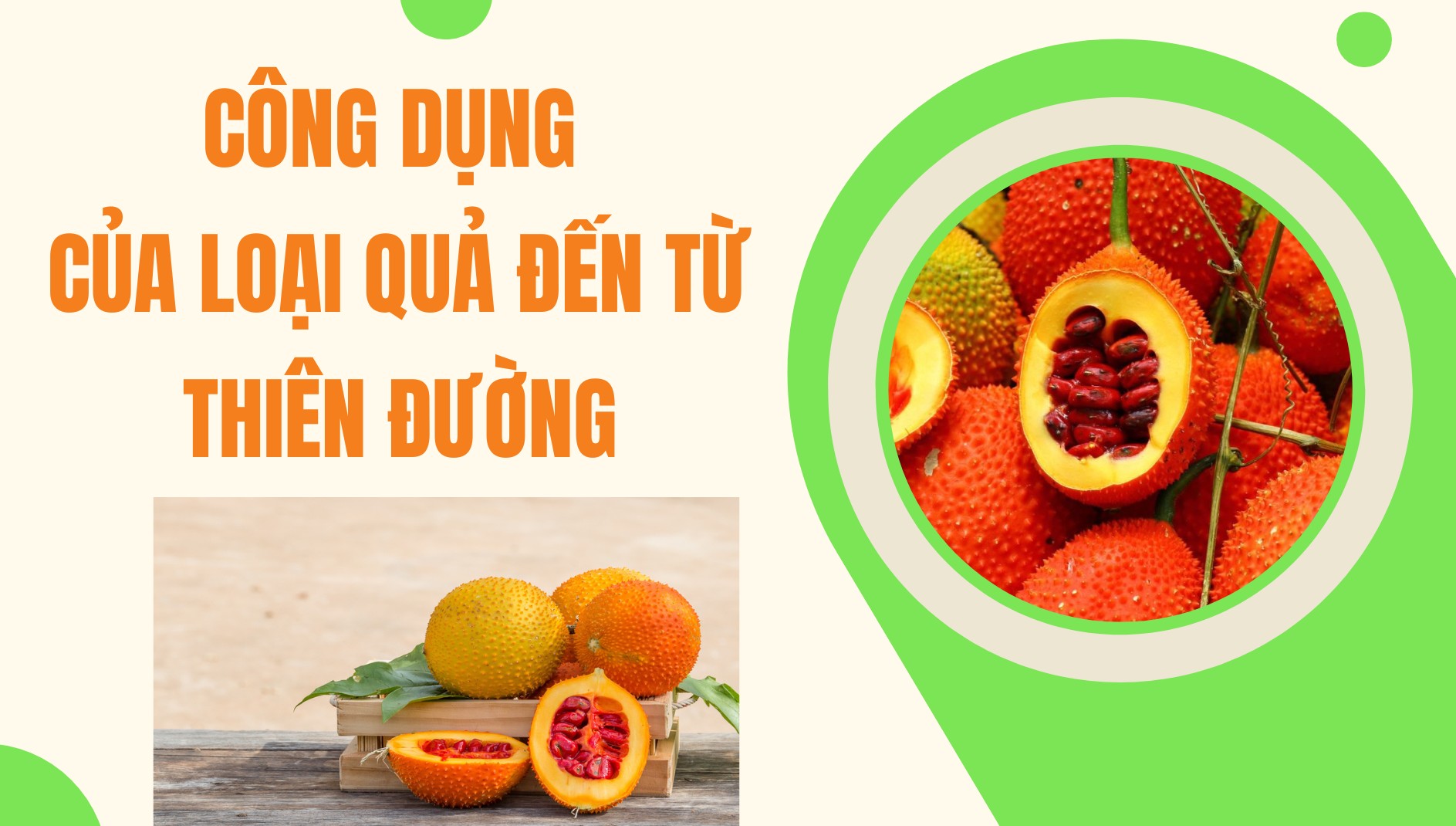 [E-Magazine] Công dụng của loại quả đến từ... thiên đường