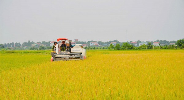 UBND huyện Ân Thi - Hưng Yên: Báo cáo tình hình phát triển kinh tế xã hội 9 tháng đầu năm và những kế hoạch, nhiệm vụ phát triển 3 tháng cuối năm