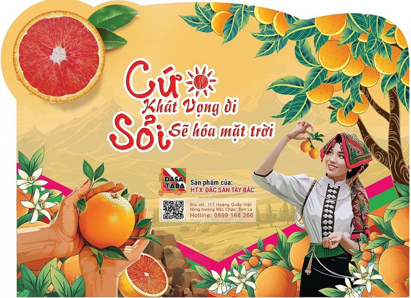 Sỏi sẽ hóa mặt trời