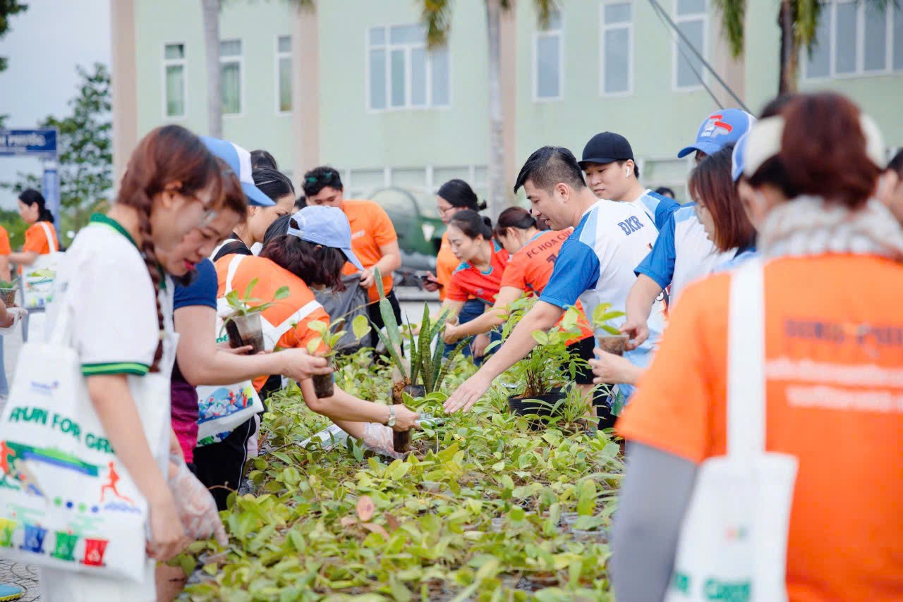 Mô hình trồng hoa hữu cơ độc lạ của chàng trai 9x