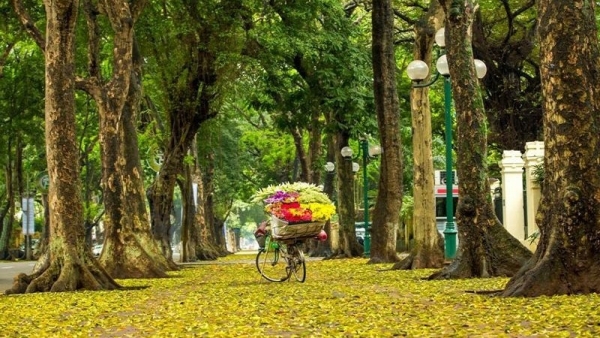 Dự báo thời tiết ngày 8/11/2024: Hà Nội ngày nắng, gió nhẹ