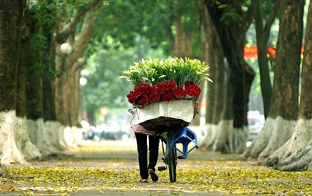 Dự báo thời tiết ngày 26/11/2024: Hà Nội mưa, trời chuyển rét, nhiệt độ giảm mạnh