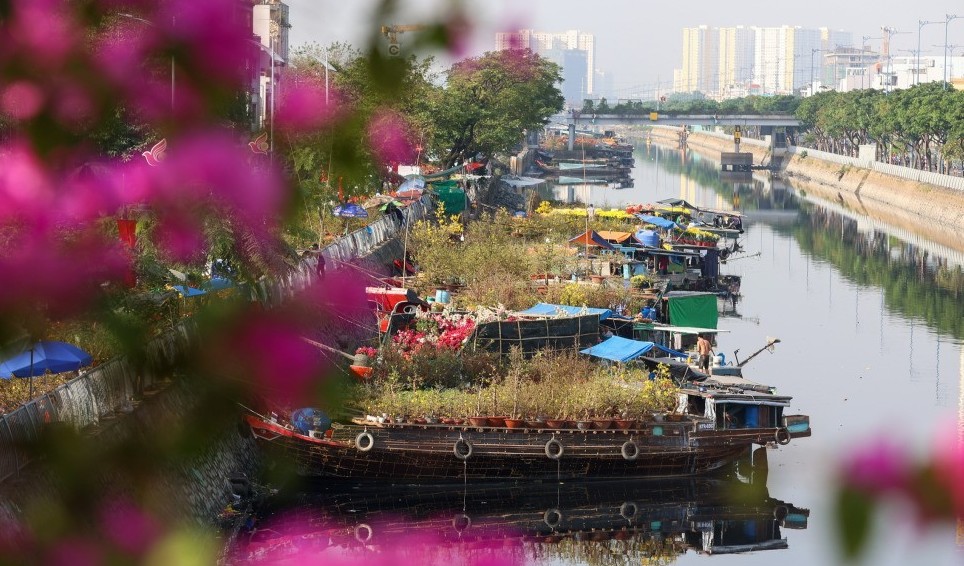 TP.HCM: Chợ hoa xuân "Trên bến dưới thuyền" quận 8 dịp Tết Ất Tỵ sẽ được làm mới