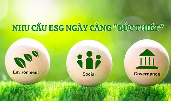 Báo cáo ESG: Làm thế nào để nhà đầu tư hiểu rõ giá trị bền vững của doanh nghiệp bạn?