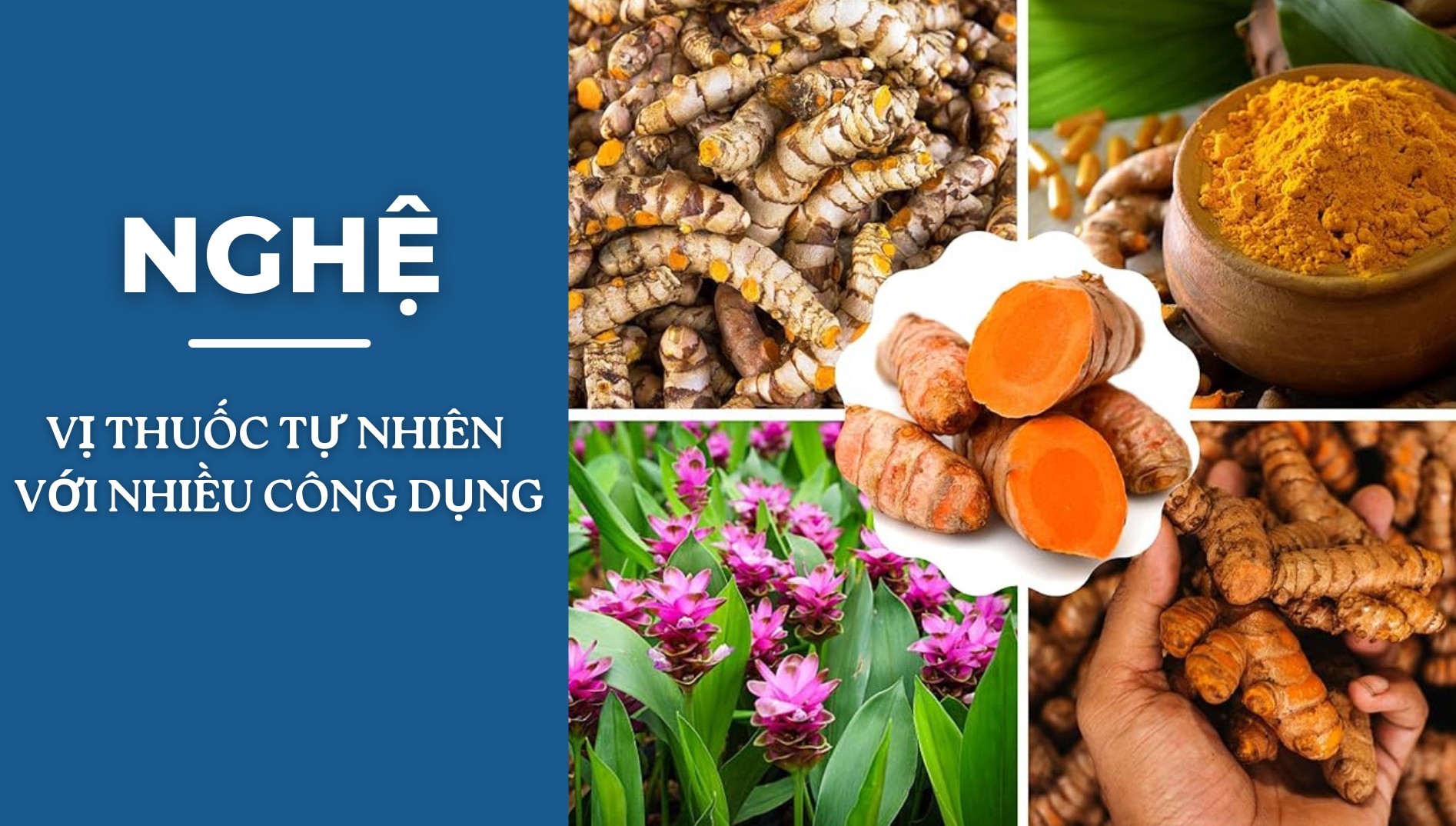 [E-Magazine] Nghệ - Vị thuốc tự nhiên với nhiều công dụng