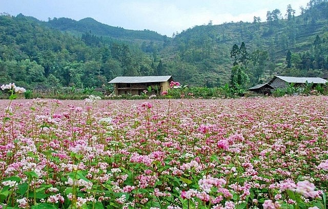 Dự báo thời tiết ngày 30/12/2024: Hà Nội sương mù, rét ngày đầu tuần