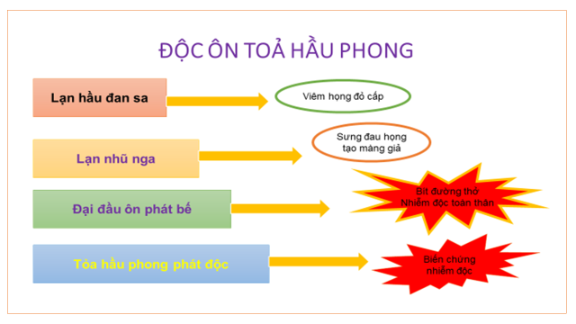 Bệnh Bạch hầu và chứng ôn độc toả hầu phong theo y học cổ truyền