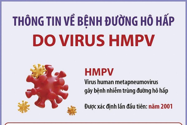 Thông tin về các trường hợp mắc bệnh do vi rút gây viêm phổi trên người