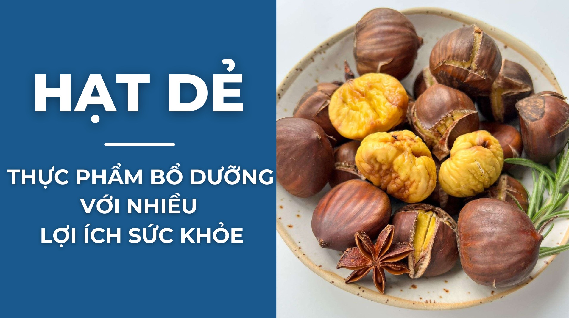 [E-Magazine] Hạt dẻ - Thực phẩm bổ dưỡng với nhiều lợi ích sức khỏe