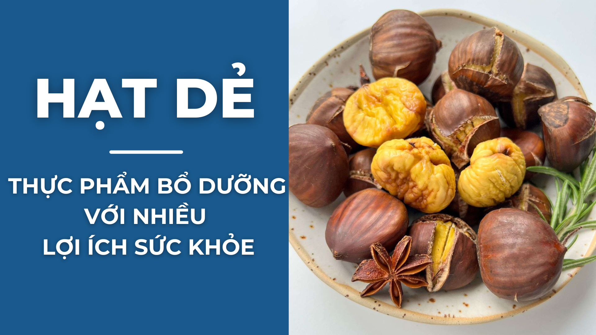 Hạt dẻ - Thực phẩm bổ dưỡng với nhiều lợi ích cho sức khỏe