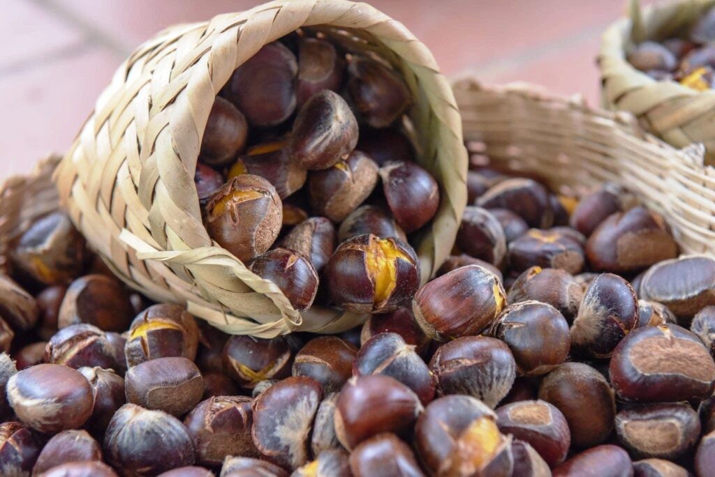 Hạt dẻ - Thực phẩm bổ dưỡng với nhiều lợi ích cho sức khỏe