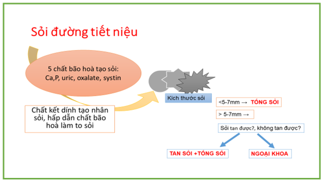 Chữa trị chứng Thạch lâm (sỏi đường niệu) dưới góc nhìn Y học hiện đại