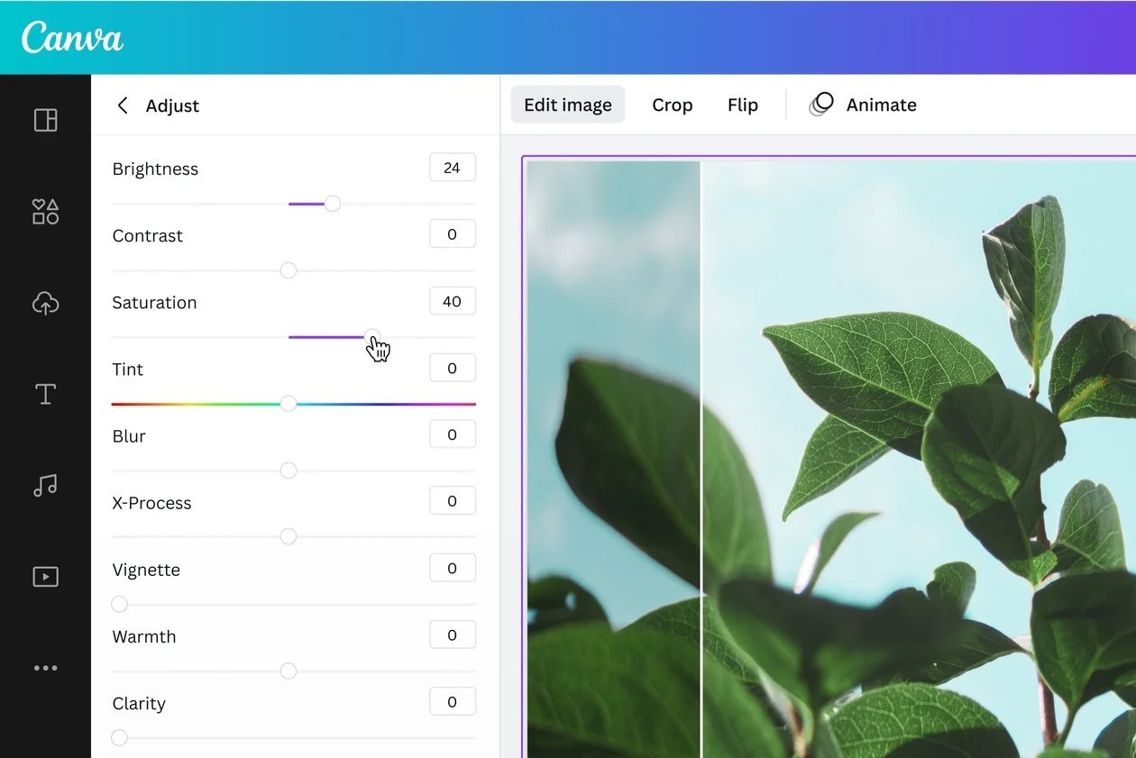 Cách chuyển file HEIC sang JPG bằng Canva một cách đơn giản Cách chuyển file HEIC sang JPG bằng Canva một cách đơn giản