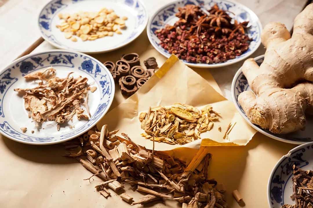 Hội Nam y Việt Nam: Tiếp tục đẩy mạnh kế thừa, phát huy tri thức y dược của Y Tổ Thiền sư Tuệ Tĩnh