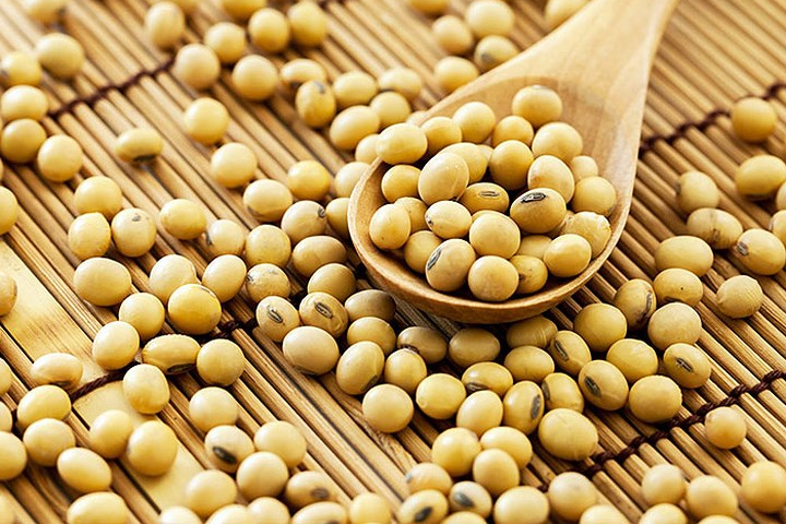 Lợi ích sức khỏe và tác dụng chữa bệnh của đậu nành