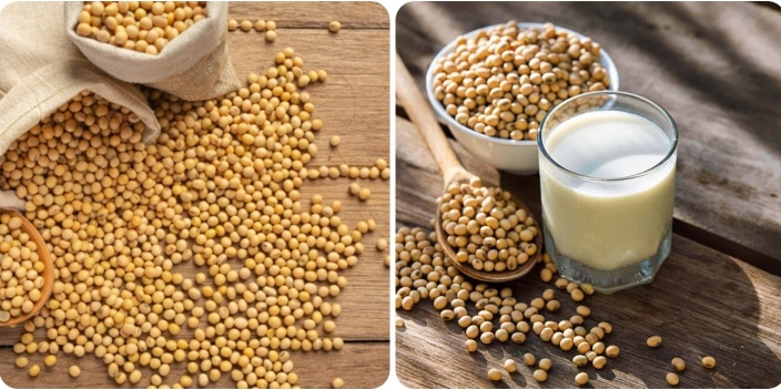 Lợi ích sức khỏe và tác dụng chữa bệnh của đậu nành