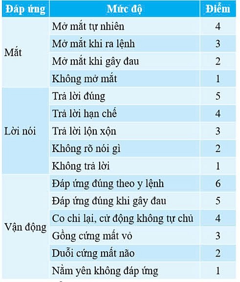 Đánh giá kết quả điều trị bệnh nhân chấn thương sọ não có tăng áp lực nội sọ được mở sọ giảm áp