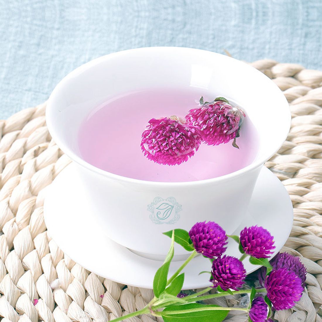 Cách sử dụng cây cúc bách nhật trong các bài thuốc chữa bệnh