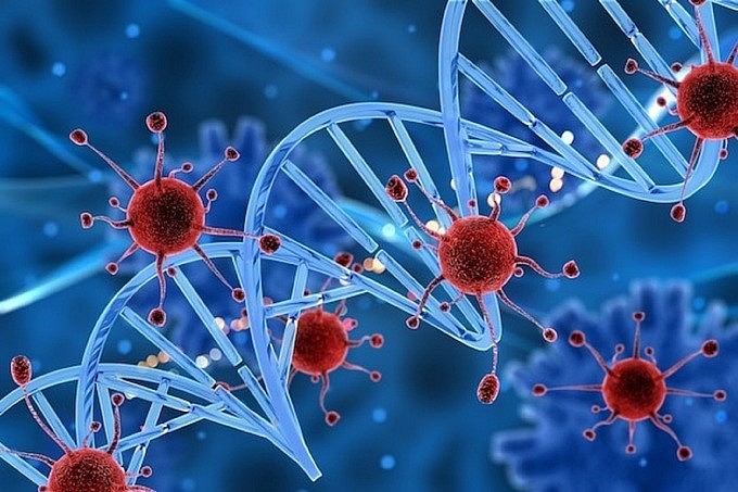 Những thói quen vàng giúp phòng ngừa ung thư