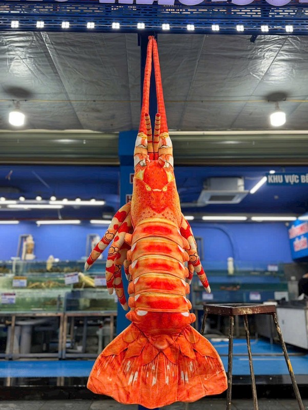 Lễ hội Tôm hùm đầu tiên tại miền Bắc – Đại tiệc hải sản có “1-0-2” Lễ hội Tôm hùm đầu tiên tại miền Bắc – Đại tiệc hải sản có “1-0-2”