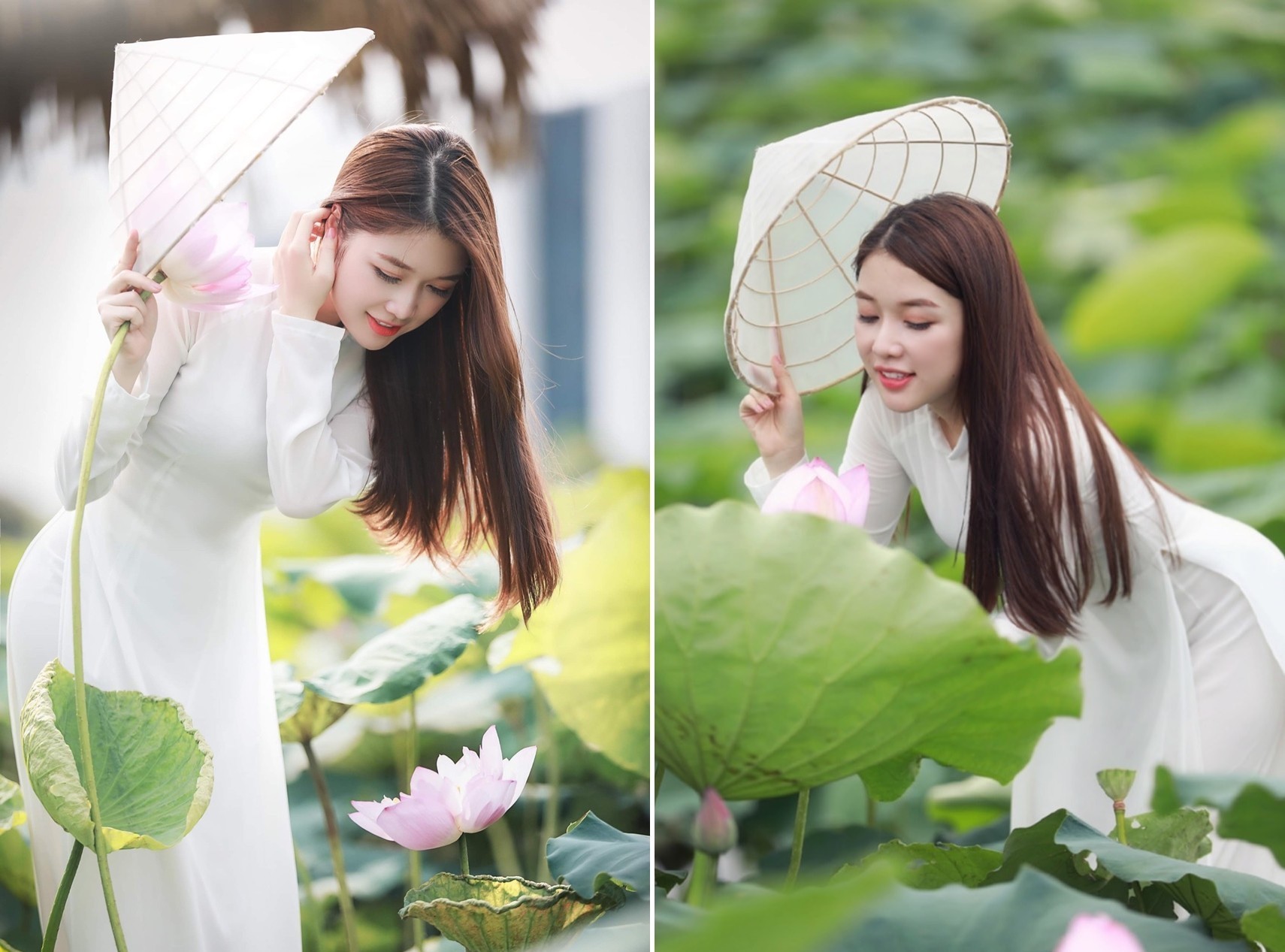 10 loại thảo dược giúp tăng cường sức khỏe và làm đẹp 10 loại thảo dược giúp tăng cường sức khỏe và làm đẹp